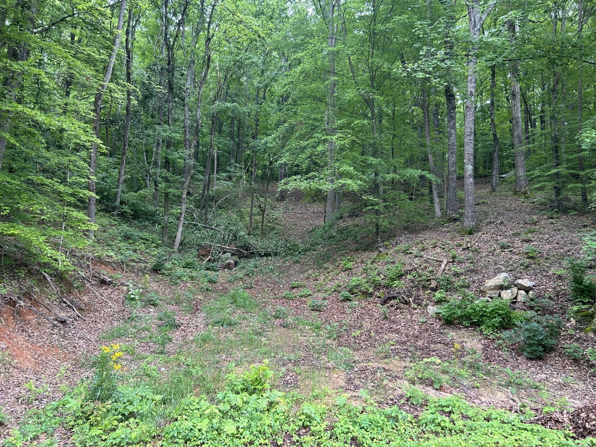 0 Candies Creek Ridge Road Northwest Cleveland, TN 37312 - Photo 1 of 1 Gallery Image 1