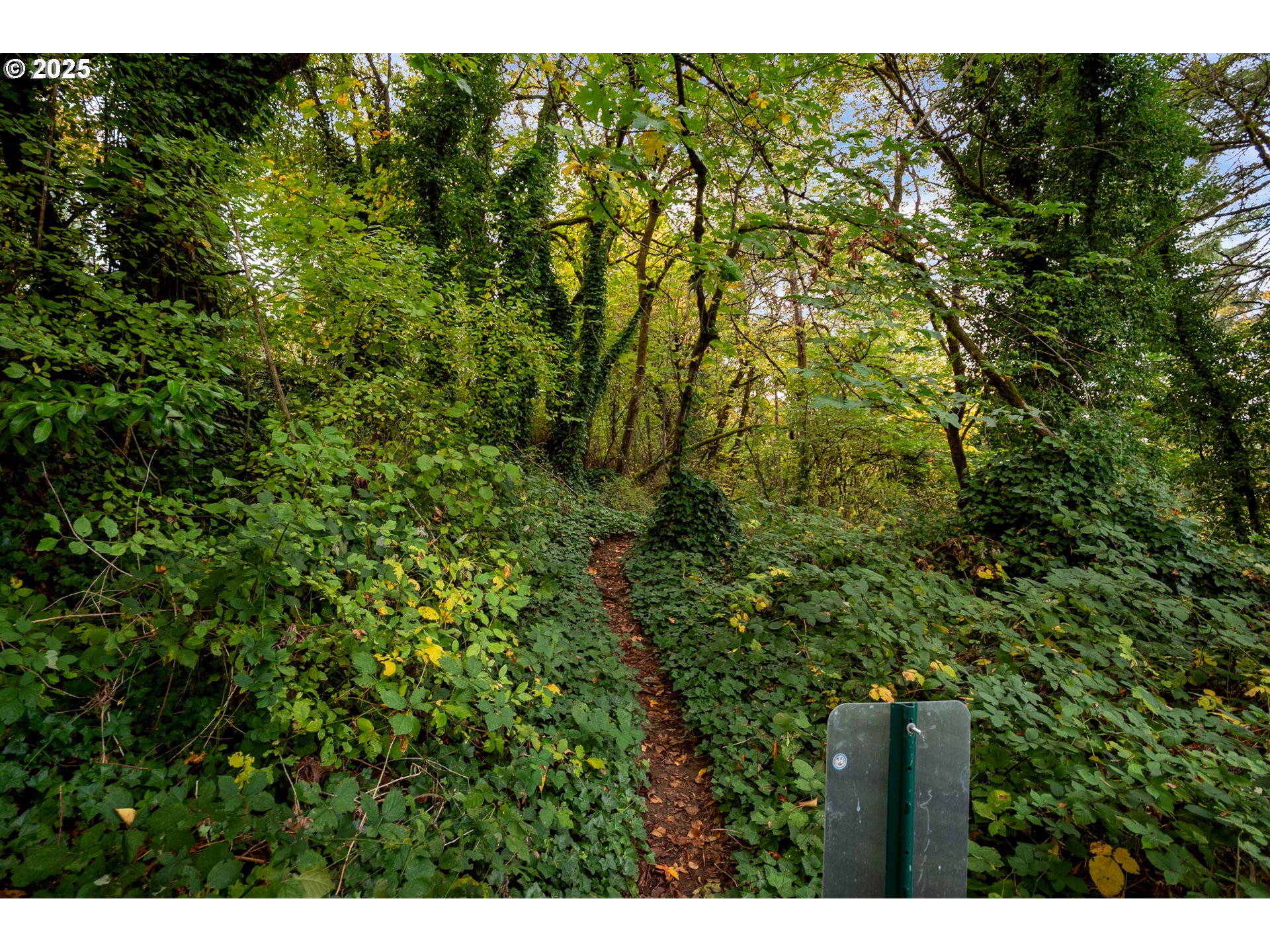 200 Southwest Burnham Road, Unit 200 Lake Oswego, OR 97034 - Photo 29 of 46