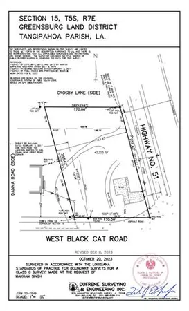 $285,000 | 51 Black Cat Road, Independence, LA 70443
