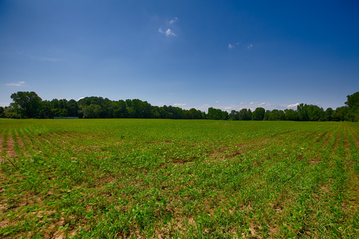 0 Mooresville Road Ardmore, AL 35739 - Photo 6 of 8 a view of a lake with a big yard