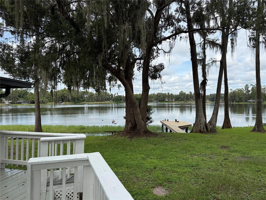 703 Crystal Lake Road Lutz, FL 33548 - Photo 11 of 59 Gallery Image 11