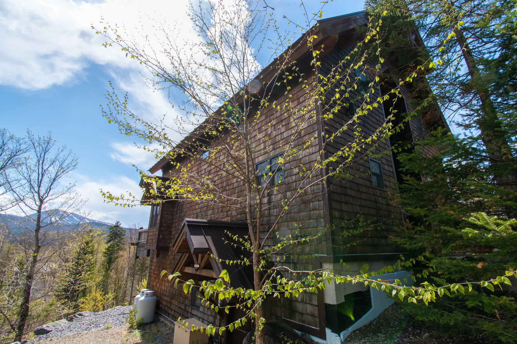2020 Ridgeview Road Carrabassett Valley, ME 04947 - Photo 87 of 96 13-web-or-mls-ridgeview-25