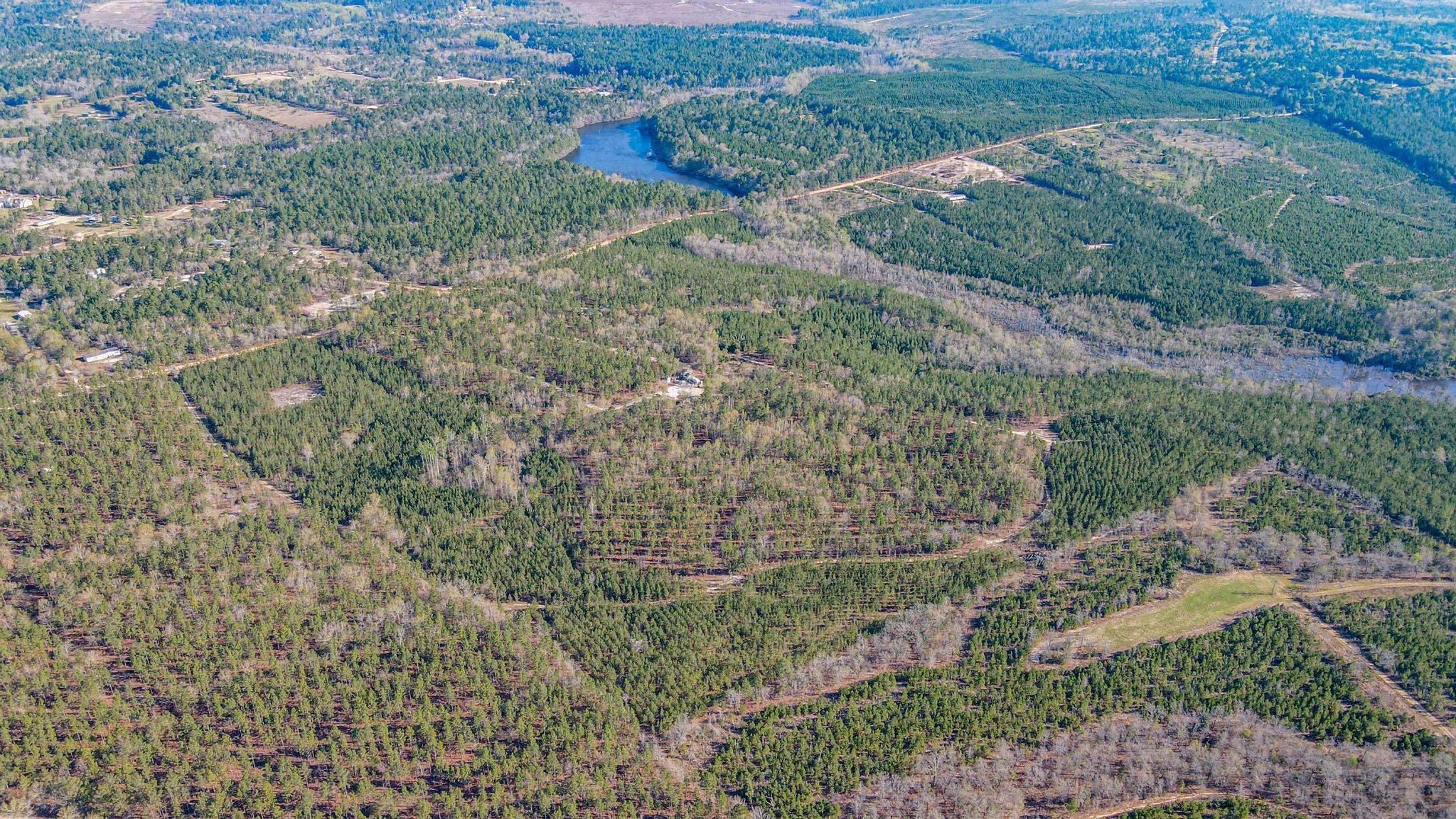 828 Hutto Pond Road Aiken, SC 29805 - Photo 9 of 10