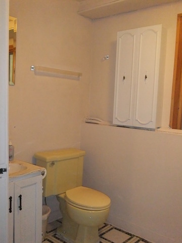 159 North Rohlwing Road Palatine, IL 60074 - Photo 17 of 21 Gallery Image 17