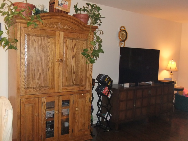 159 North Rohlwing Road Palatine, IL 60074 - Photo 8 of 21 Gallery Image 8