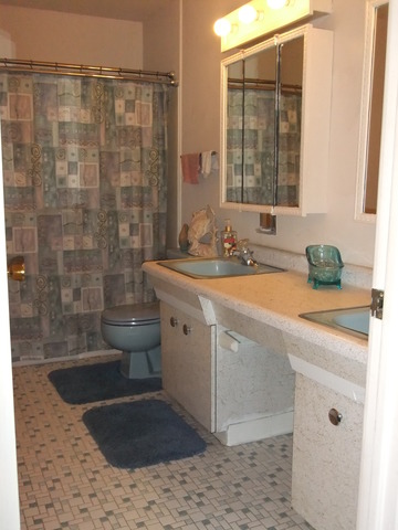 159 North Rohlwing Road Palatine, IL 60074 - Photo 10 of 21 Gallery Image 10