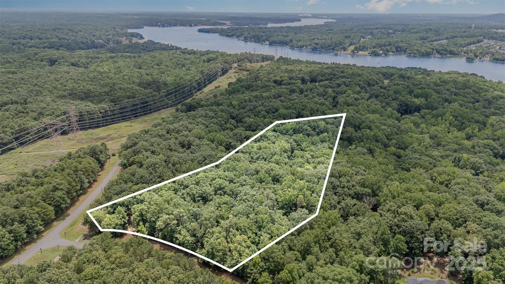 14229 Roe Buck Meadow Lane Charlotte, NC 28278 - Photo 12 of 27