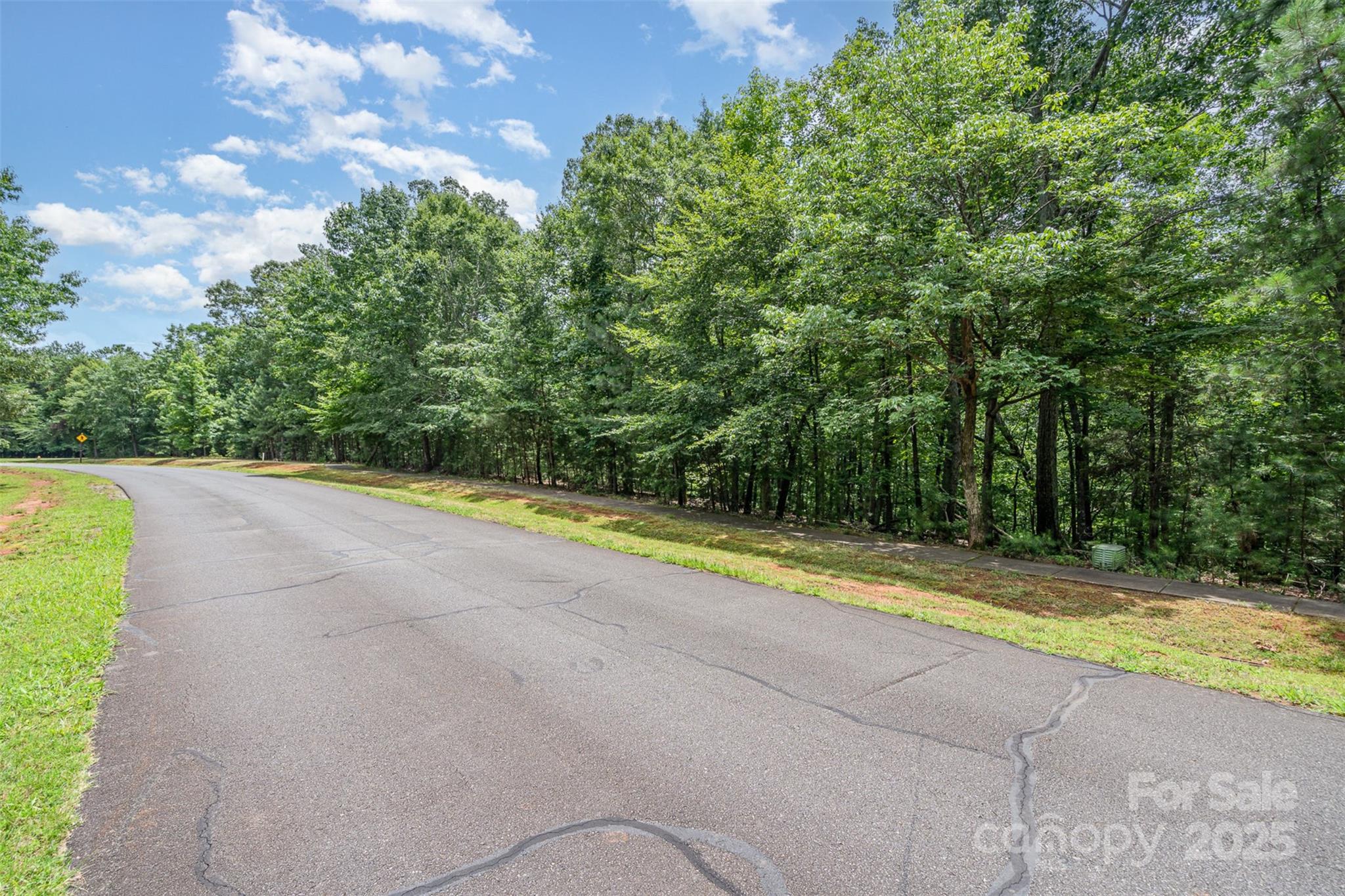 14229 Roe Buck Meadow Lane Charlotte, NC 28278 - Photo 14 of 27