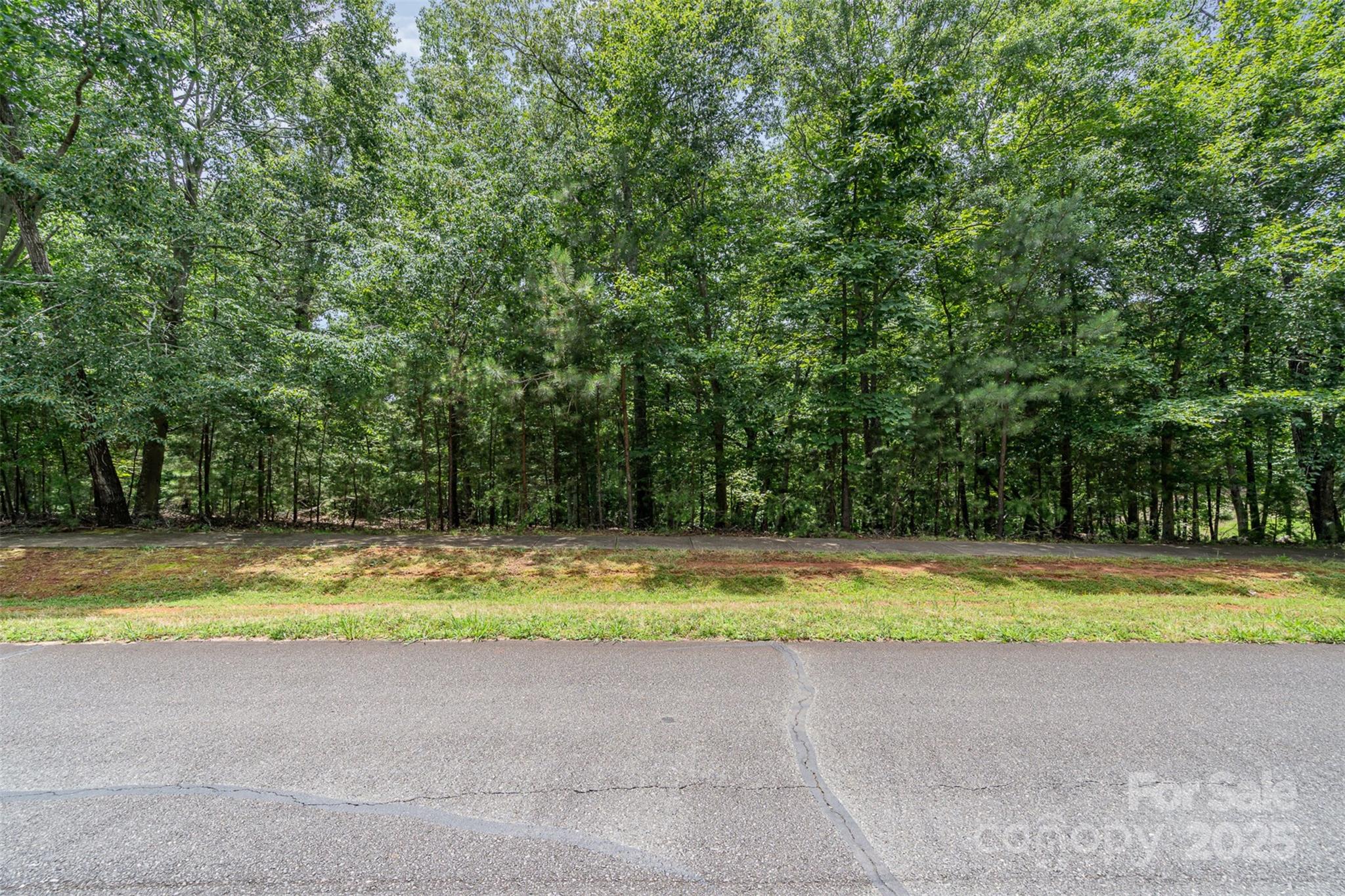 14229 Roe Buck Meadow Lane Charlotte, NC 28278 - Photo 19 of 27