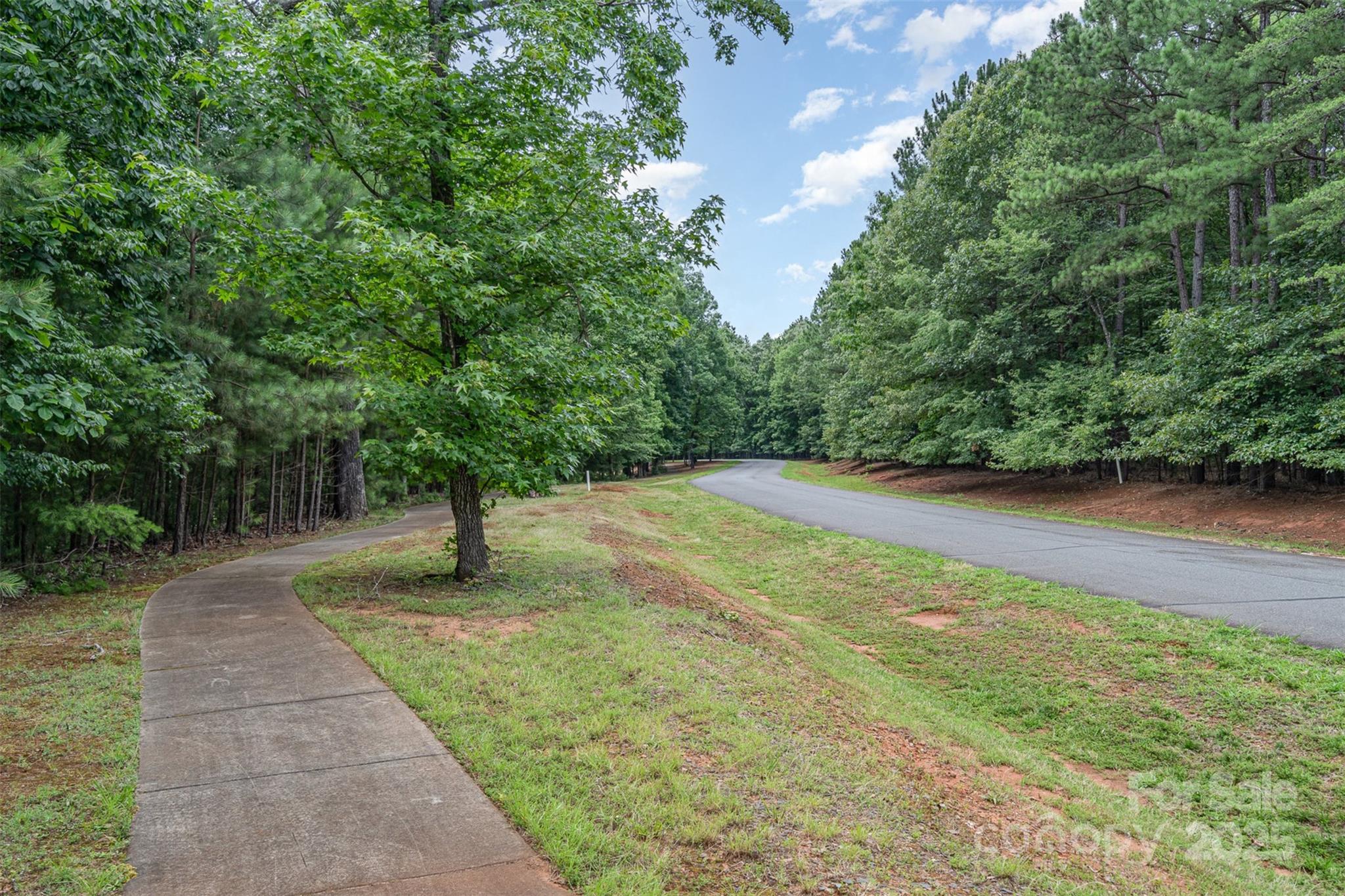 14229 Roe Buck Meadow Lane Charlotte, NC 28278 - Photo 3 of 27