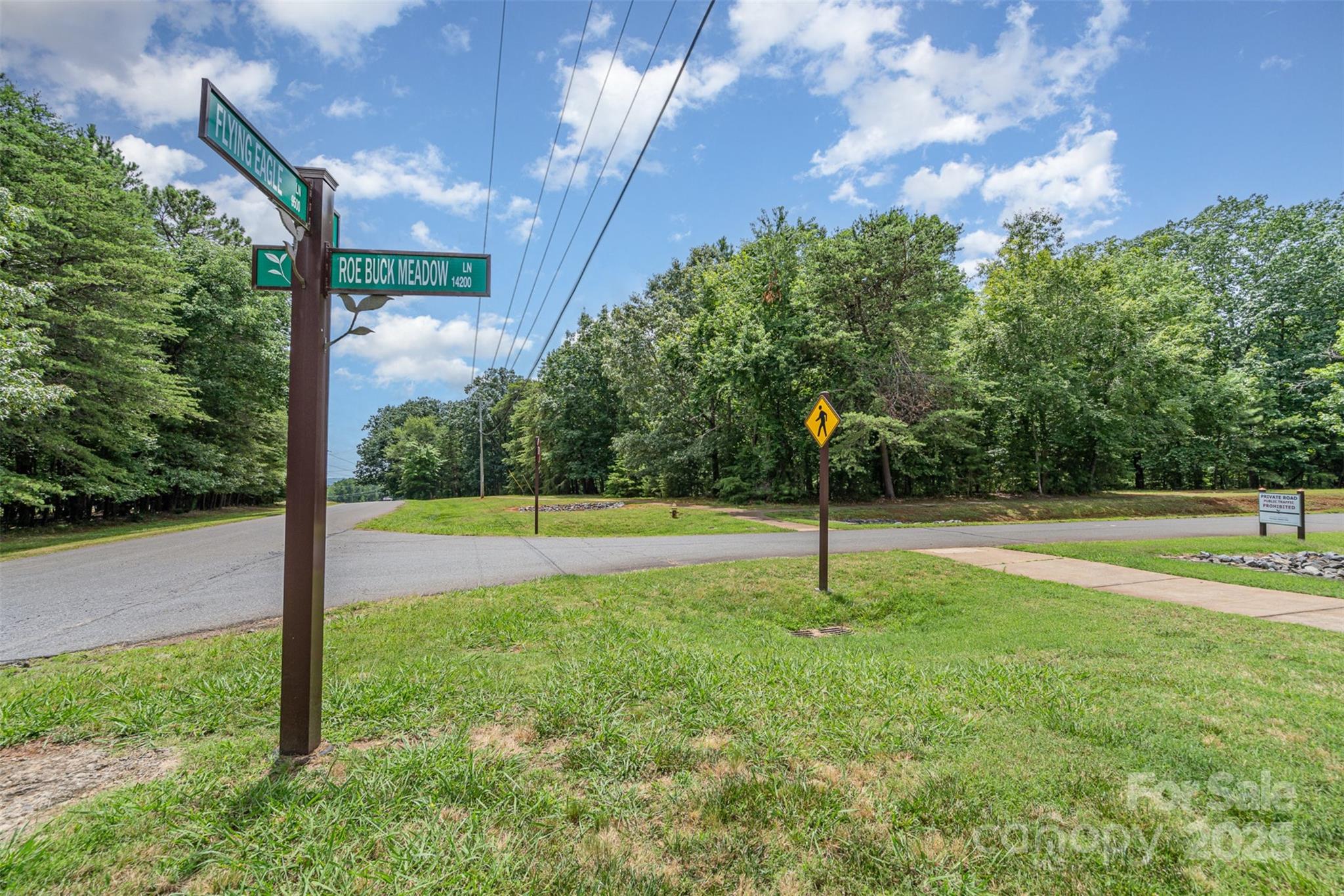 14229 Roe Buck Meadow Lane Charlotte, NC 28278 - Photo 4 of 27