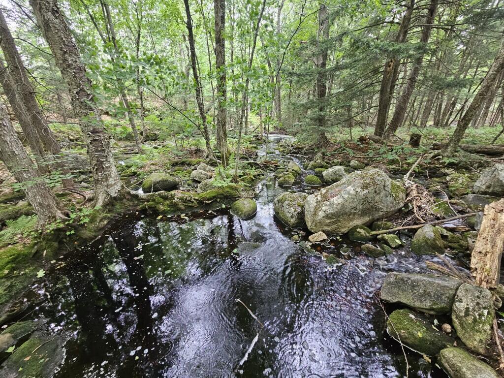 19 A Quaker Ridge Road Leeds, ME 04263 - Photo 9 of 37 20260716_133842