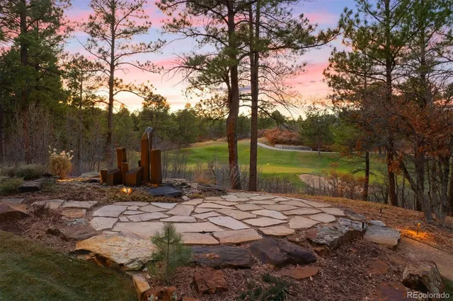 a view of backyard with tree