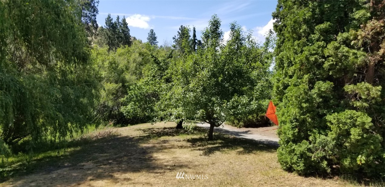 91 Grade Creek Road Manson, WA 98831 - Photo 2 of 18 Gallery Image 2