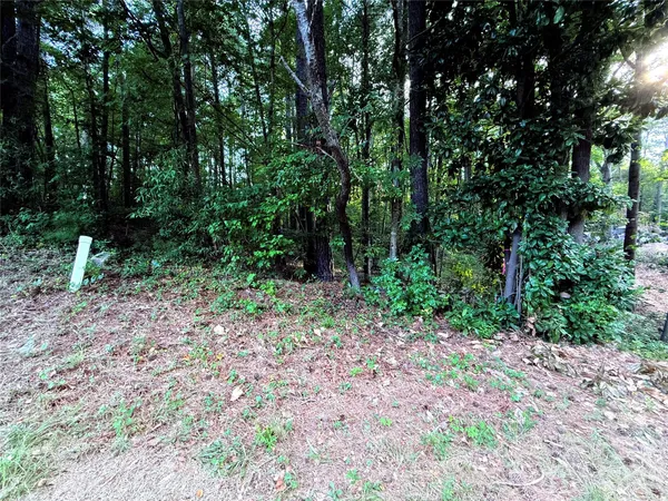 $25,000 | 245 Carlie Street, Norwood, NC 28128