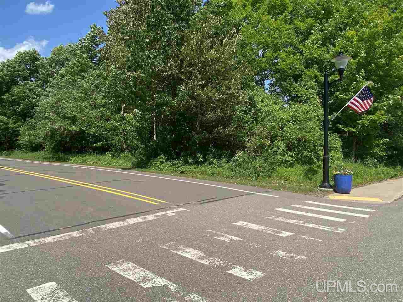 Tbd West Main Street Michigamme, MI 49861 - Photo 5 of 6