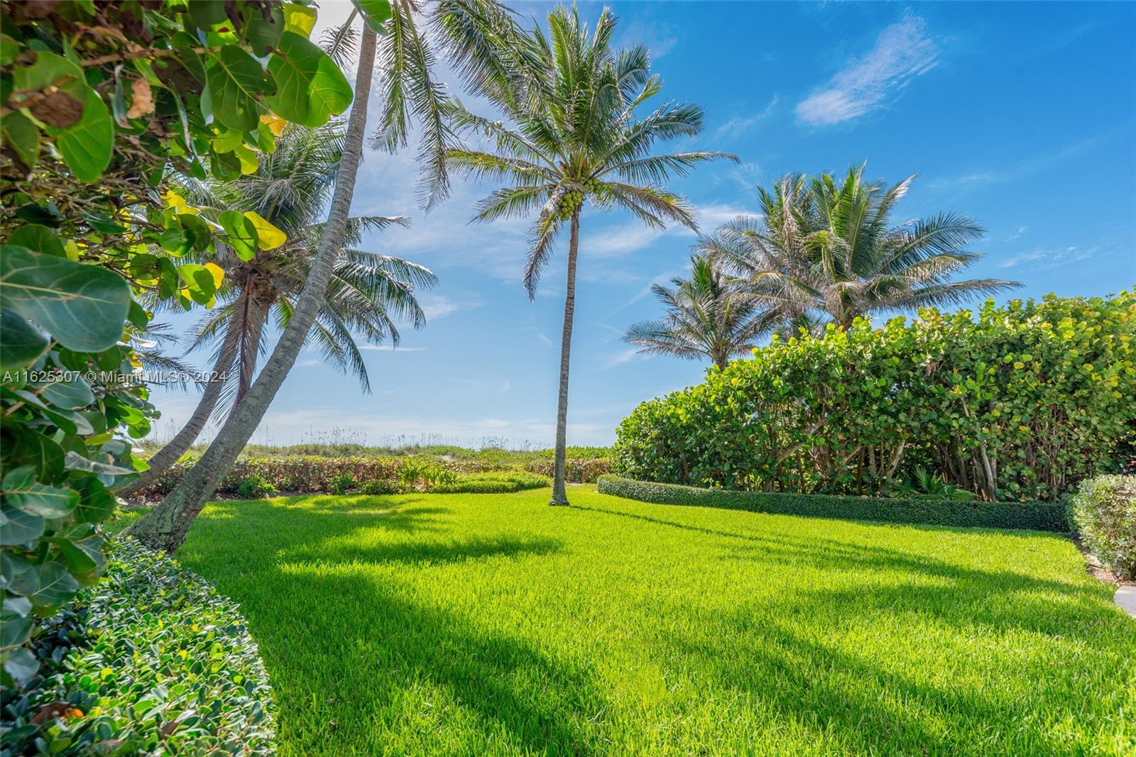 43 North Beach Road Jupiter Island, FL 33455 - Photo 32 of 34 a view of a yard with a palm tree