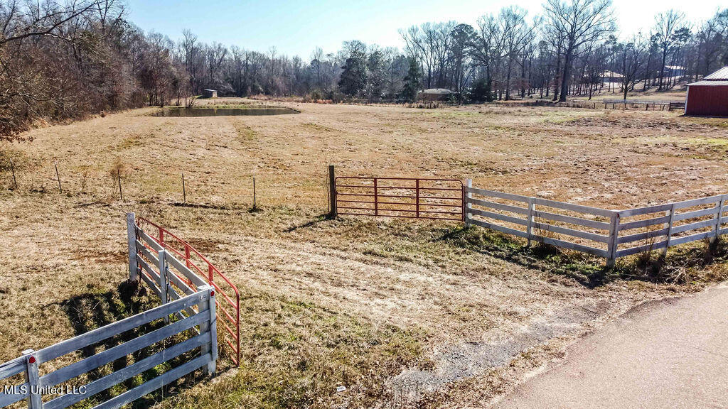 187 West Petros Road Pearl, MS 39208 - Photo 12 of 91 .