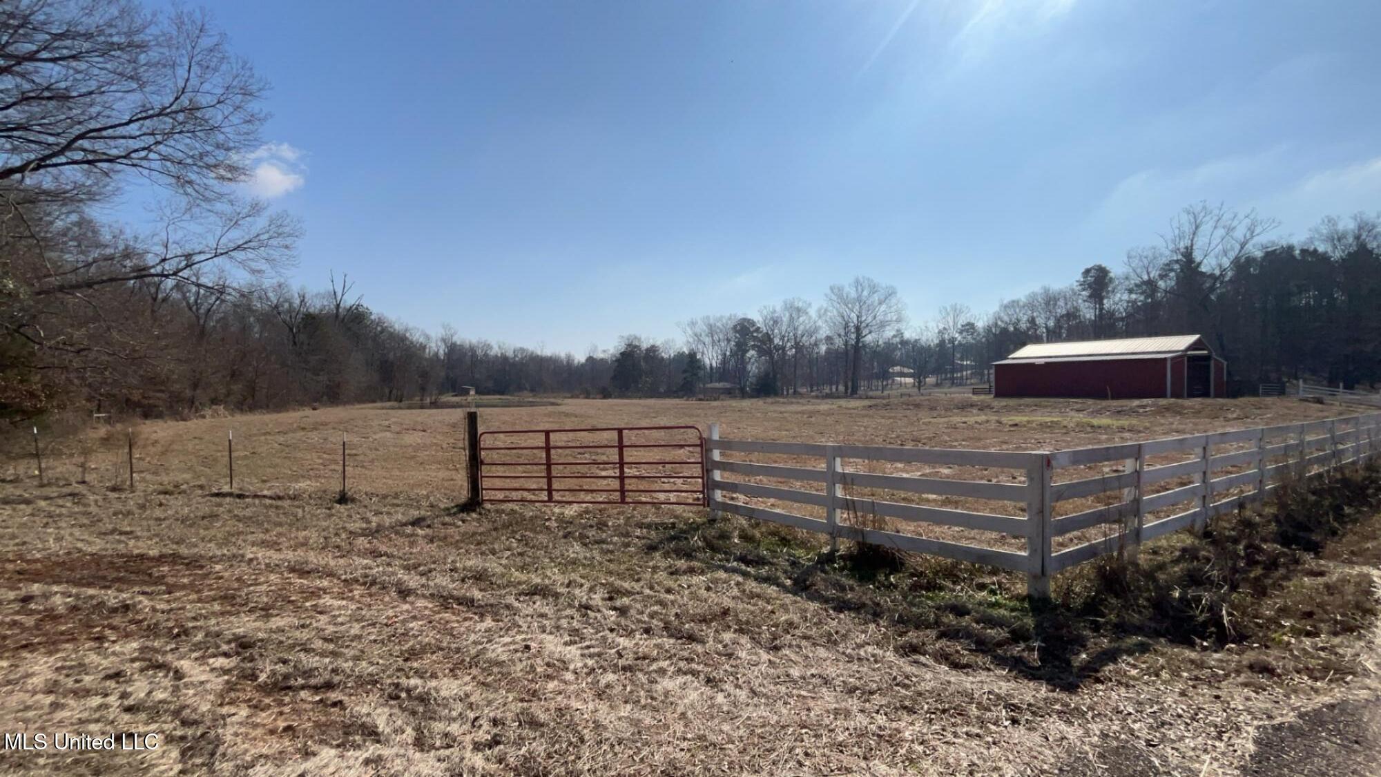 187 West Petros Road Pearl, MS 39208 - Photo 13 of 91 IMG_1602