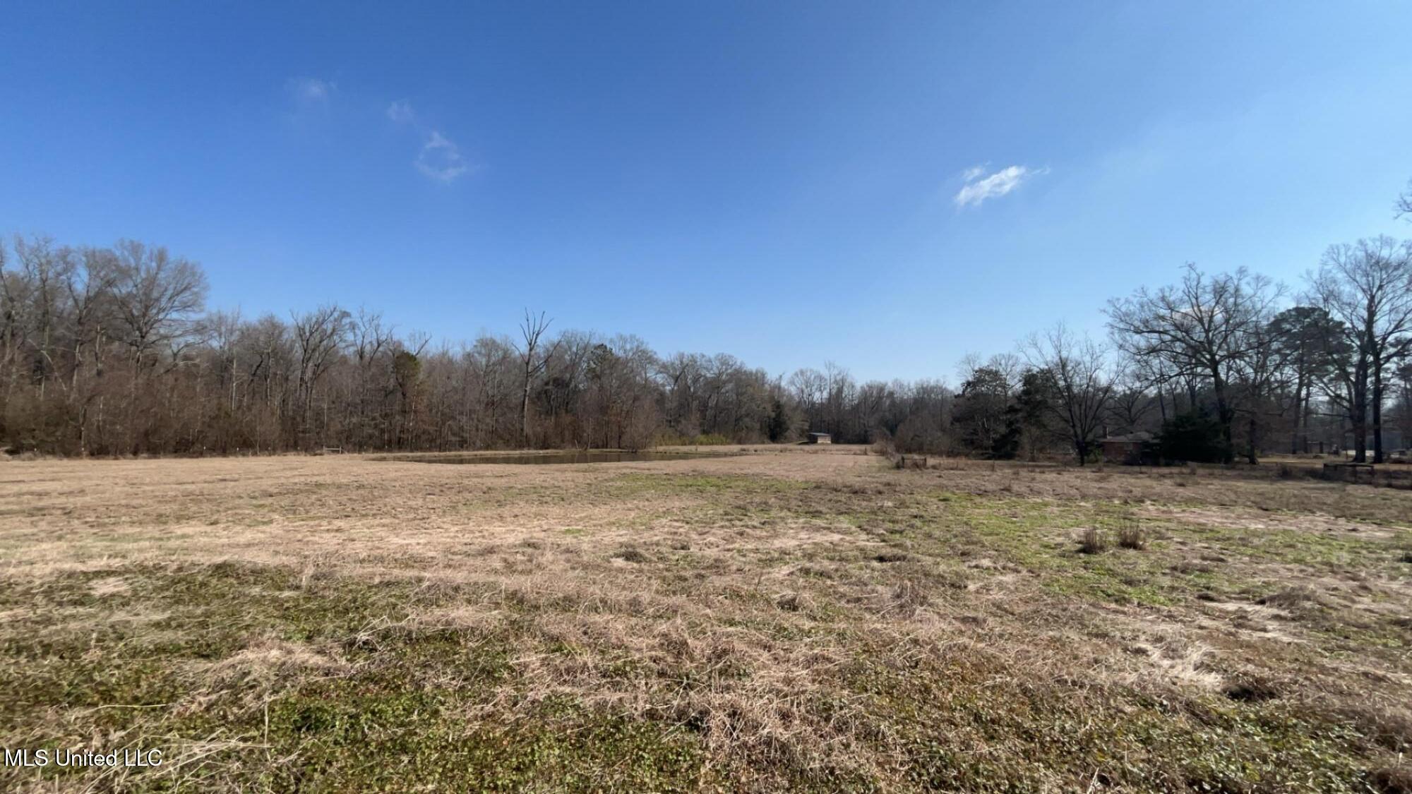 187 West Petros Road Pearl, MS 39208 - Photo 22 of 91 IMG_1613