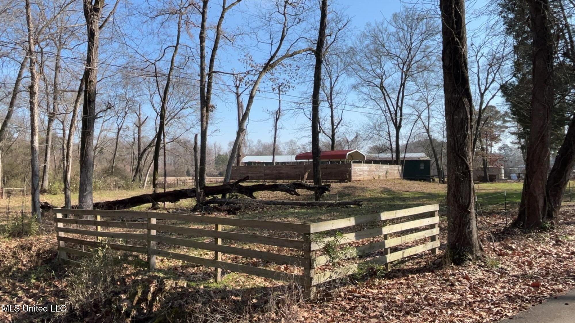 187 West Petros Road Pearl, MS 39208 - Photo 27 of 91 IMG_1620