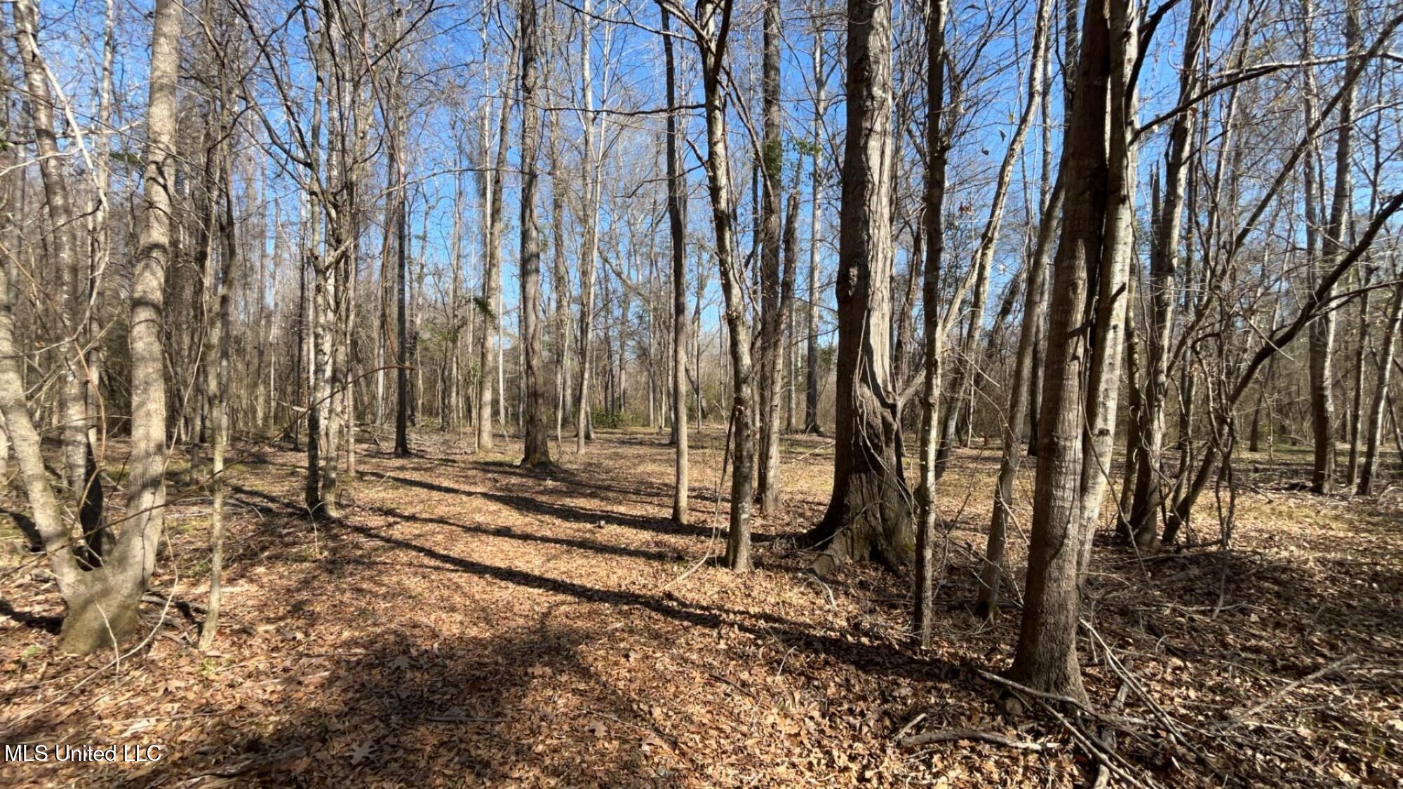 187 West Petros Road Pearl, MS 39208 - Photo 29 of 91 IMG_1636