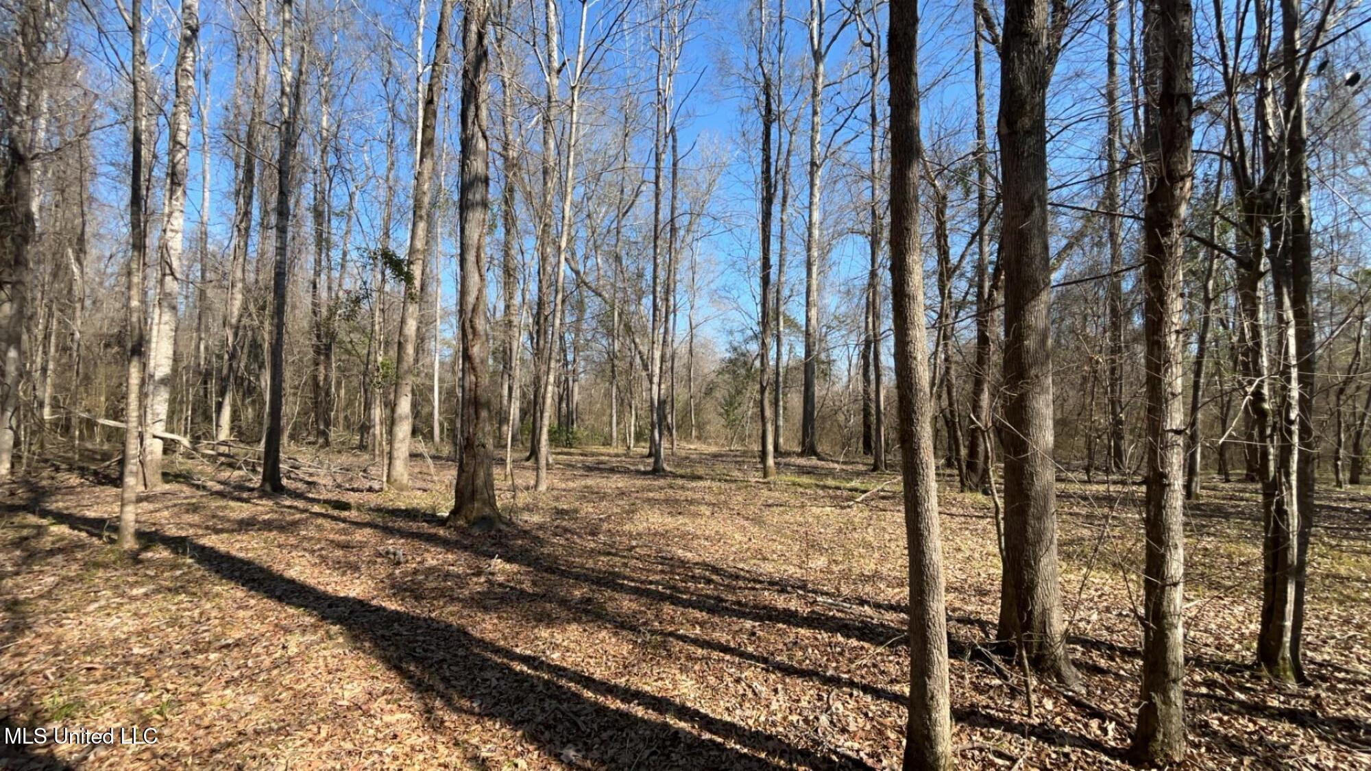 187 West Petros Road Pearl, MS 39208 - Photo 30 of 91 IMG_1637