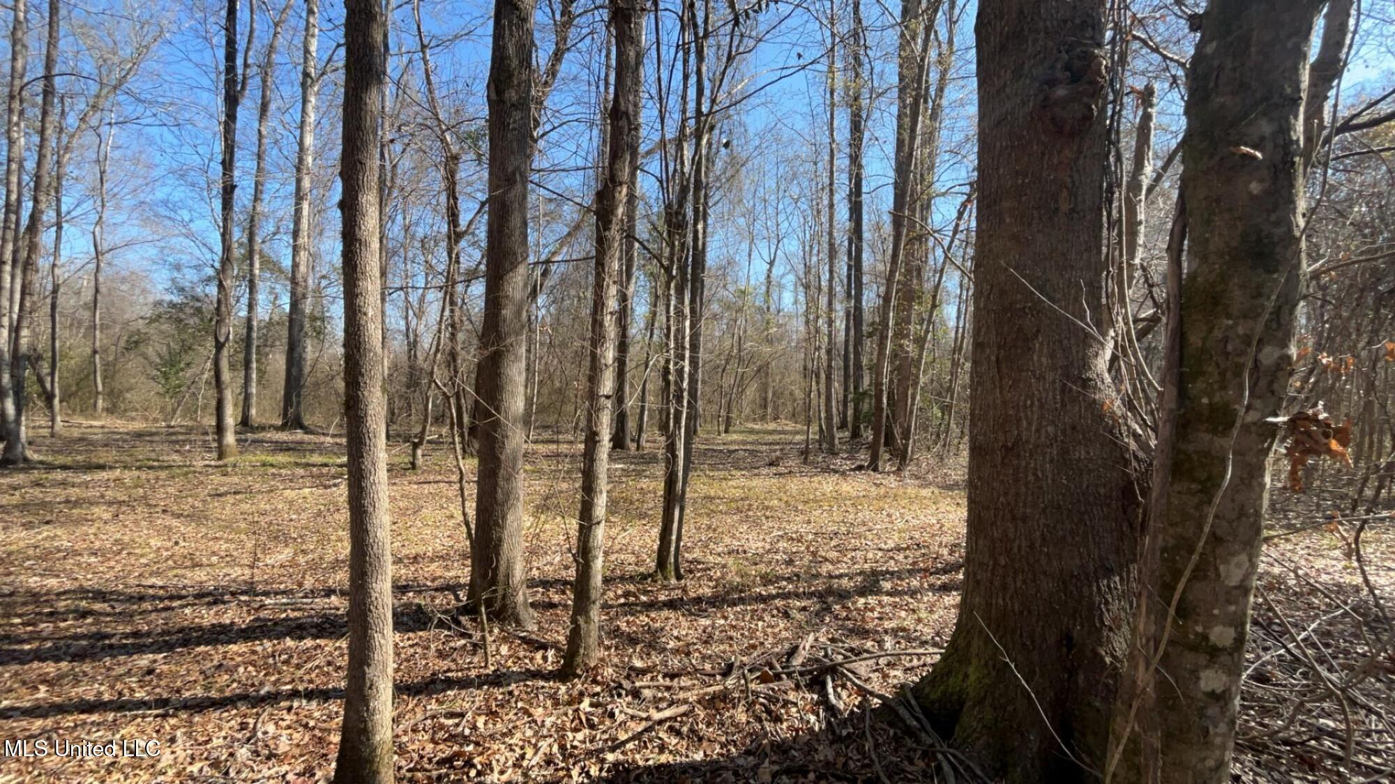 187 West Petros Road Pearl, MS 39208 - Photo 31 of 91 IMG_1638