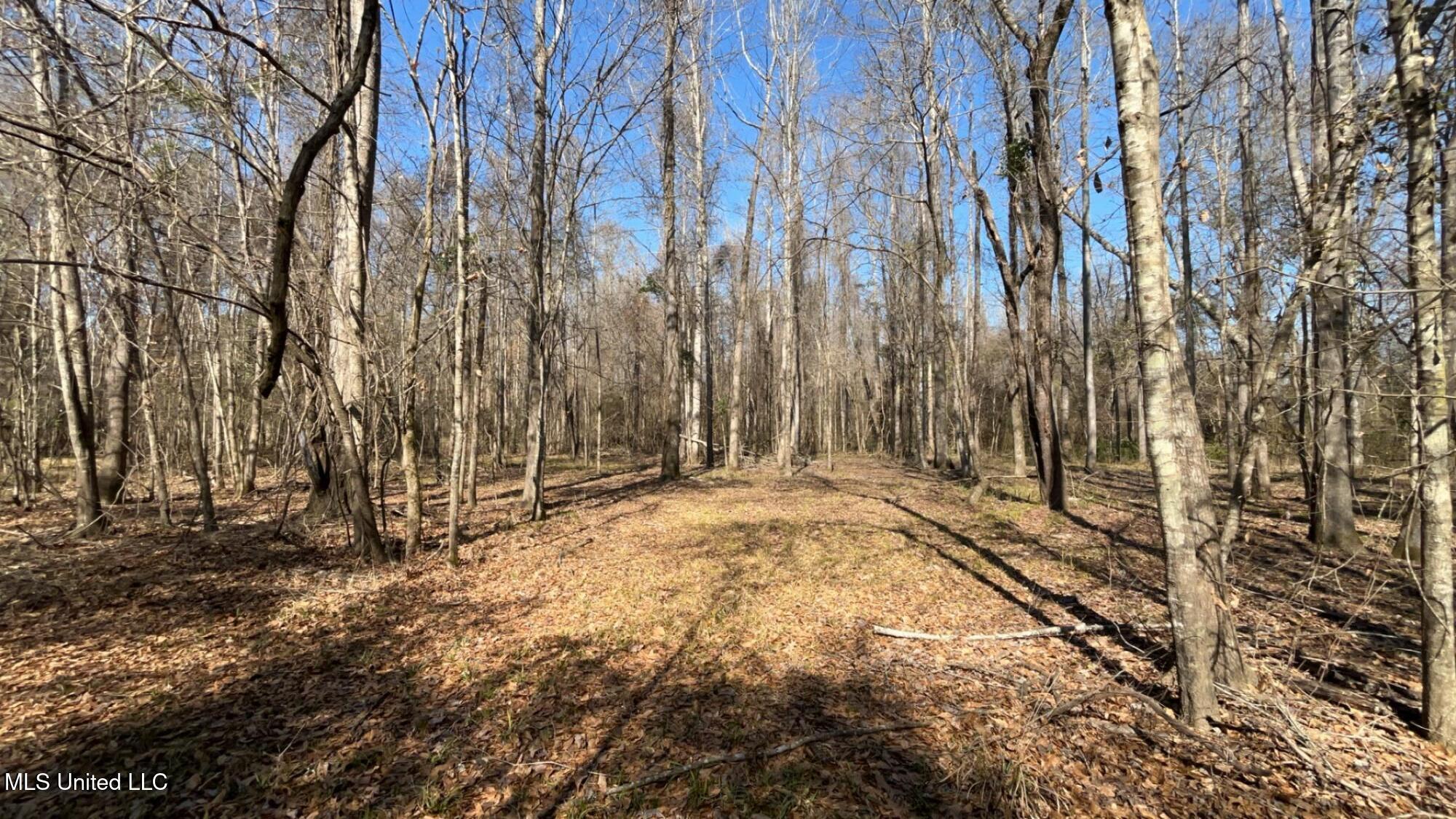 187 West Petros Road Pearl, MS 39208 - Photo 32 of 91 IMG_1639