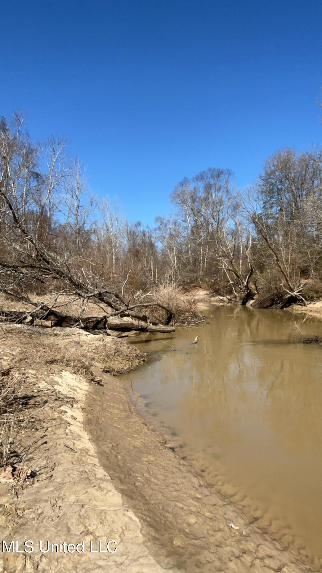 187 West Petros Road Pearl, MS 39208 - Photo 34 of 91 IMG_1664