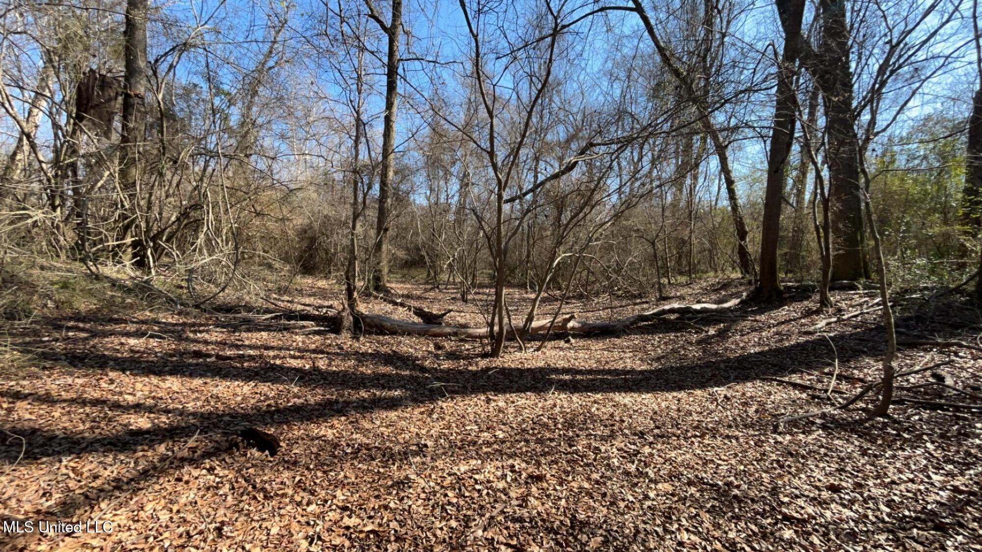 187 West Petros Road Pearl, MS 39208 - Photo 35 of 91 IMG_1656