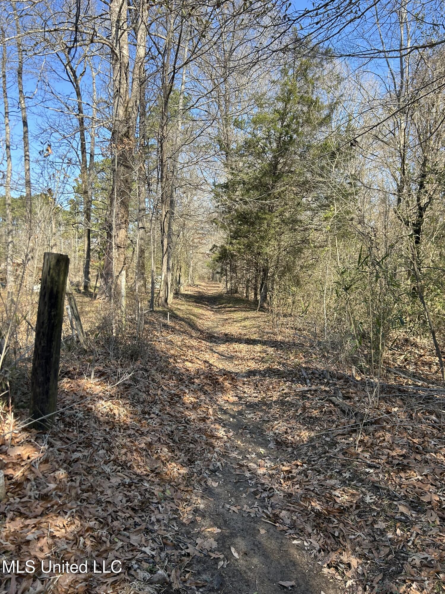 187 West Petros Road Pearl, MS 39208 - Photo 36 of 91 IMG_1630