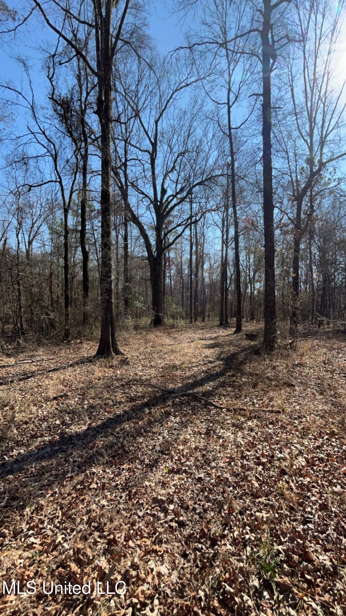 187 West Petros Road Pearl, MS 39208 - Photo 37 of 91 IMG_1631