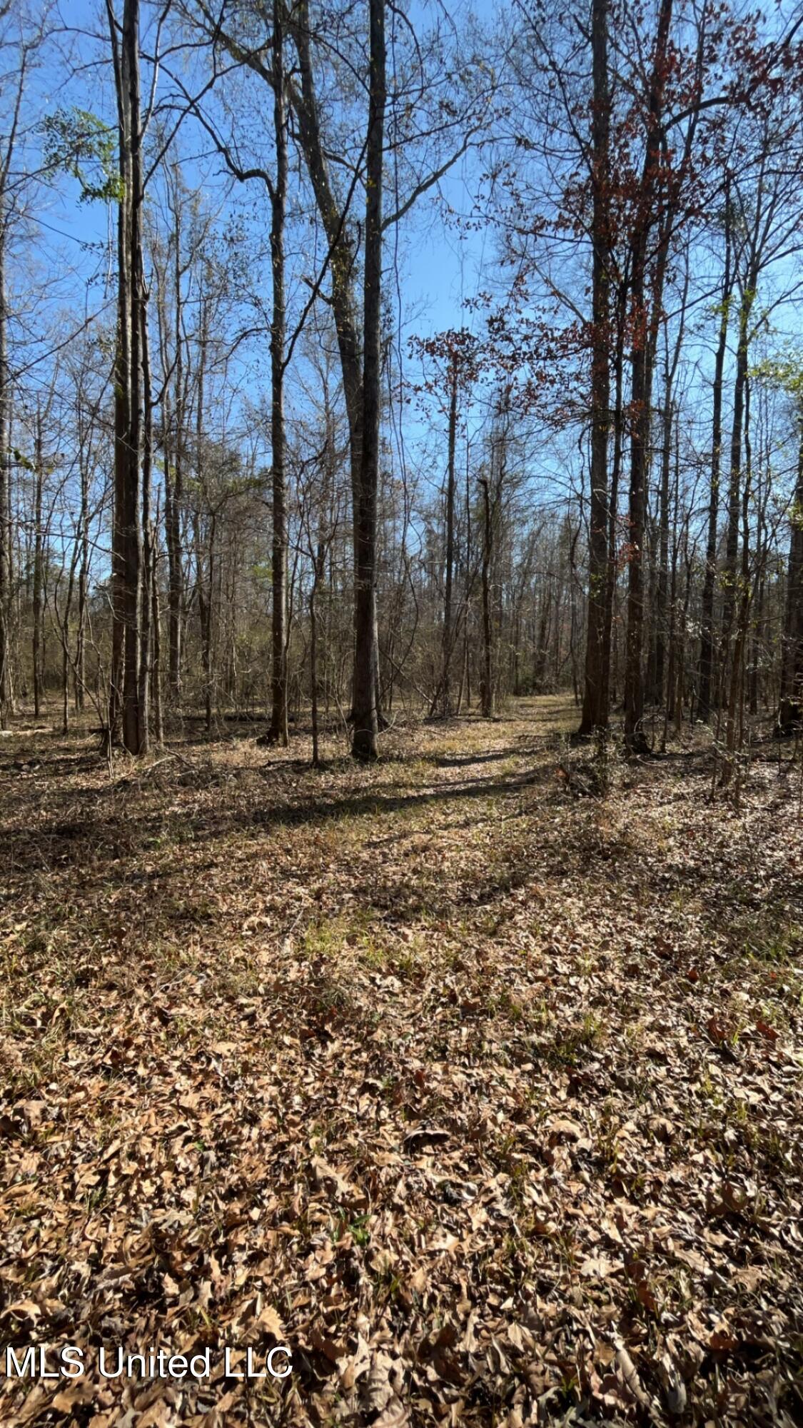 187 West Petros Road Pearl, MS 39208 - Photo 38 of 91 IMG_1632