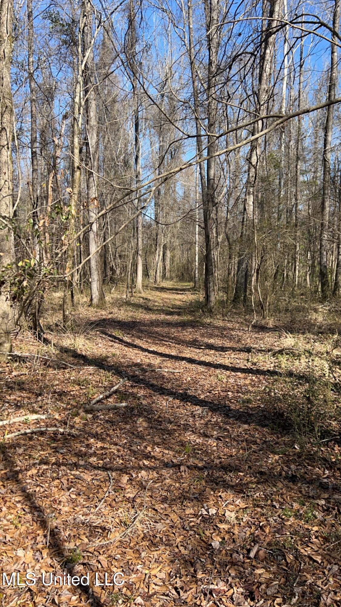 187 West Petros Road Pearl, MS 39208 - Photo 39 of 91 IMG_1633