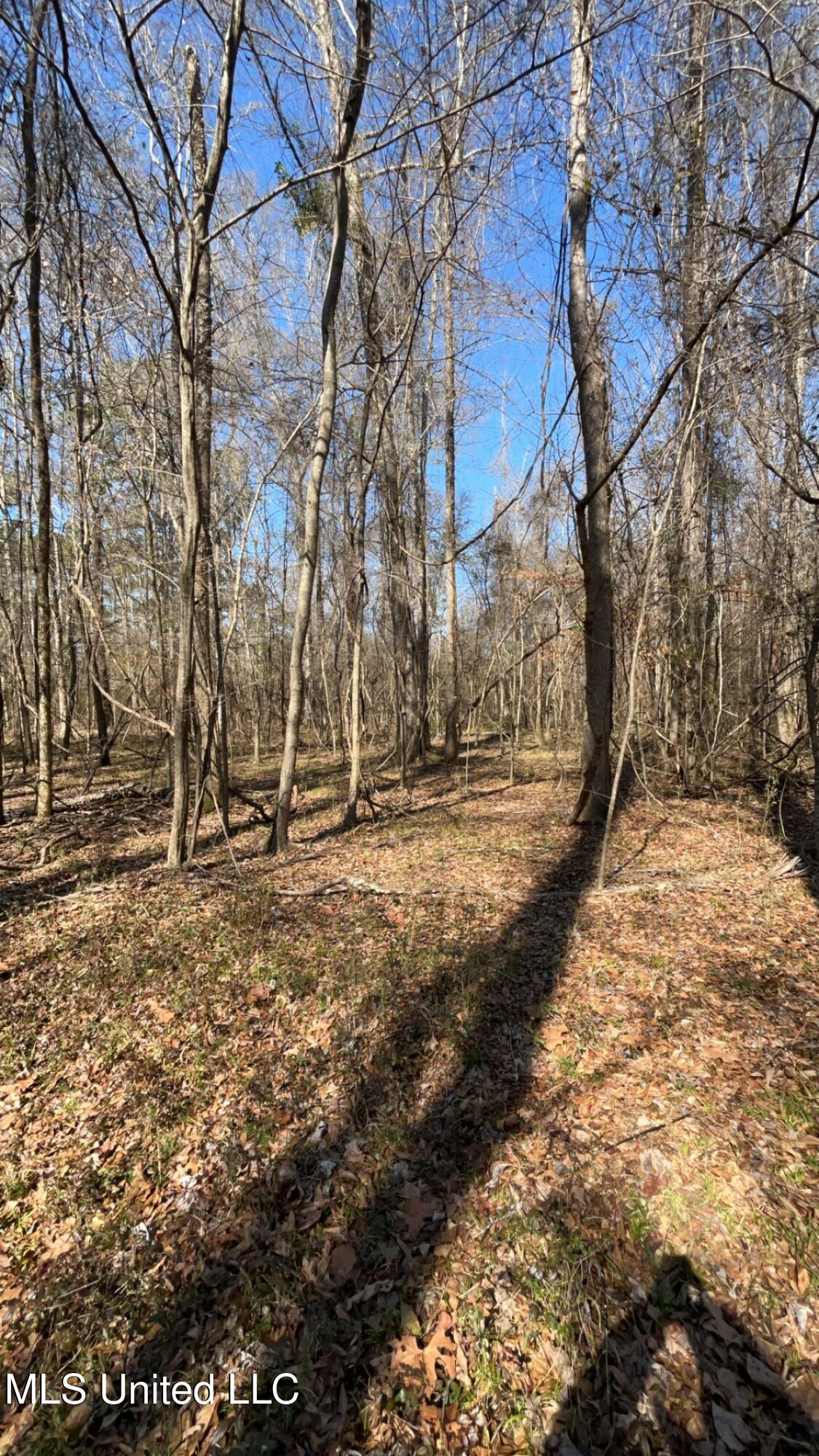 187 West Petros Road Pearl, MS 39208 - Photo 40 of 91 IMG_1634