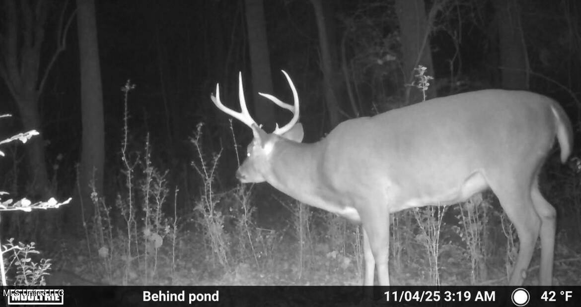 187 West Petros Road Pearl, MS 39208 - Photo 46 of 91 IMG_1564