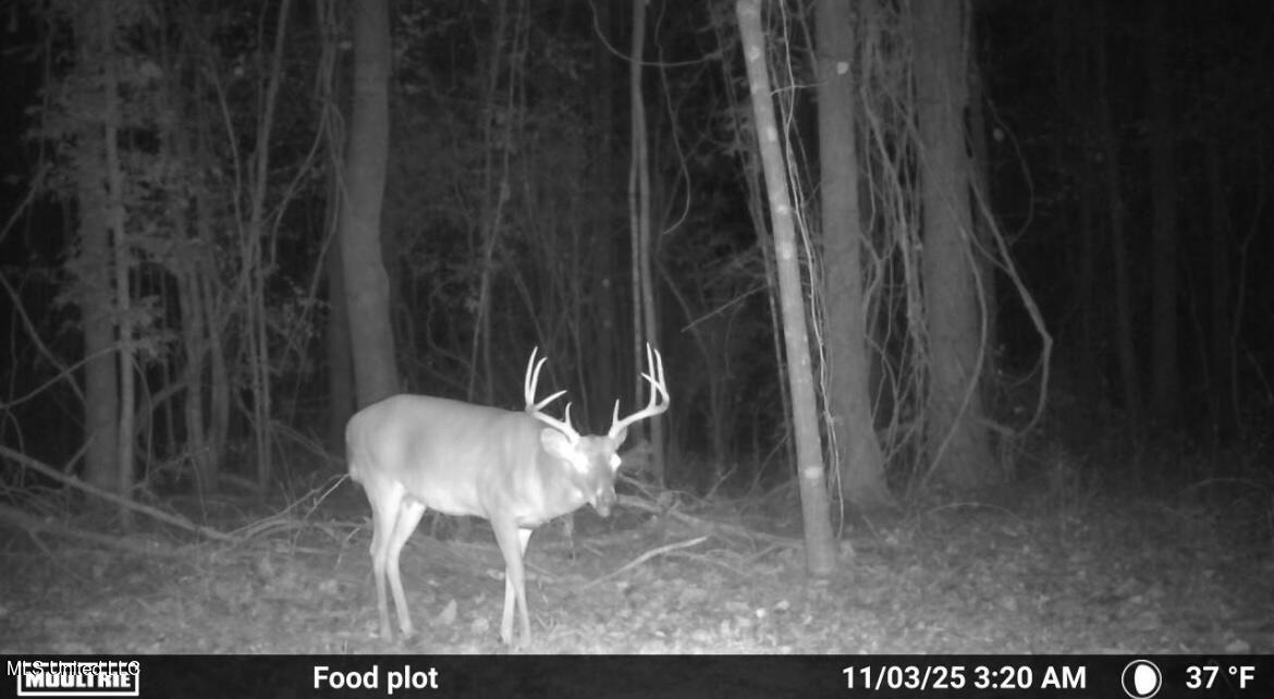 187 West Petros Road Pearl, MS 39208 - Photo 49 of 91 IMG_1568