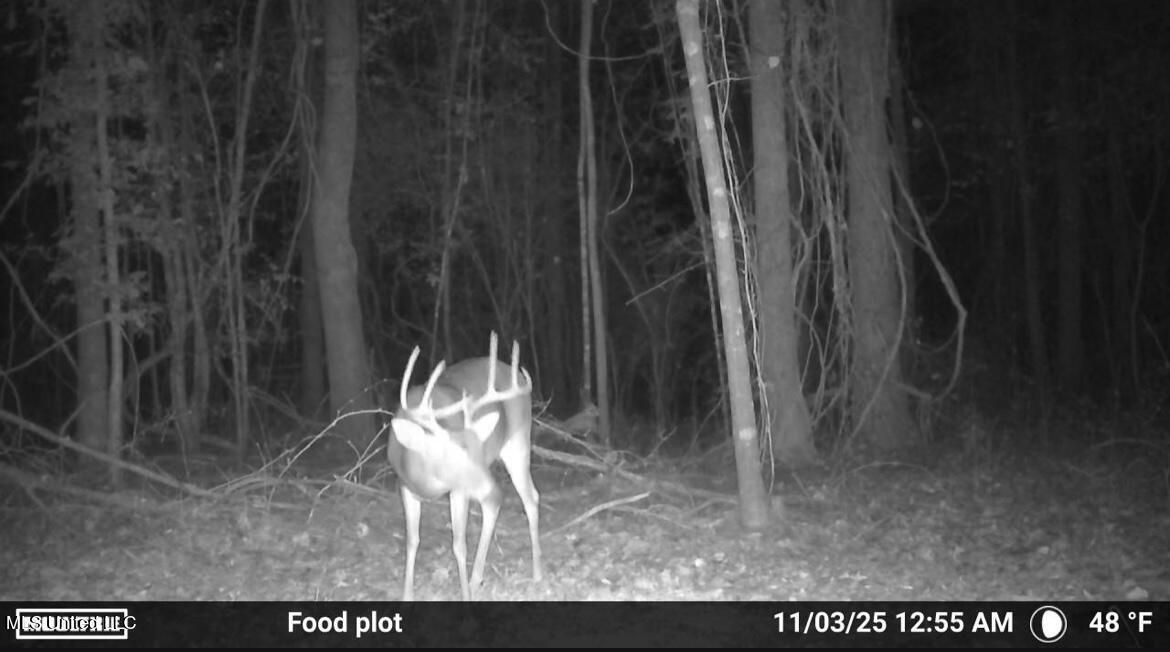 187 West Petros Road Pearl, MS 39208 - Photo 51 of 91 IMG_1570