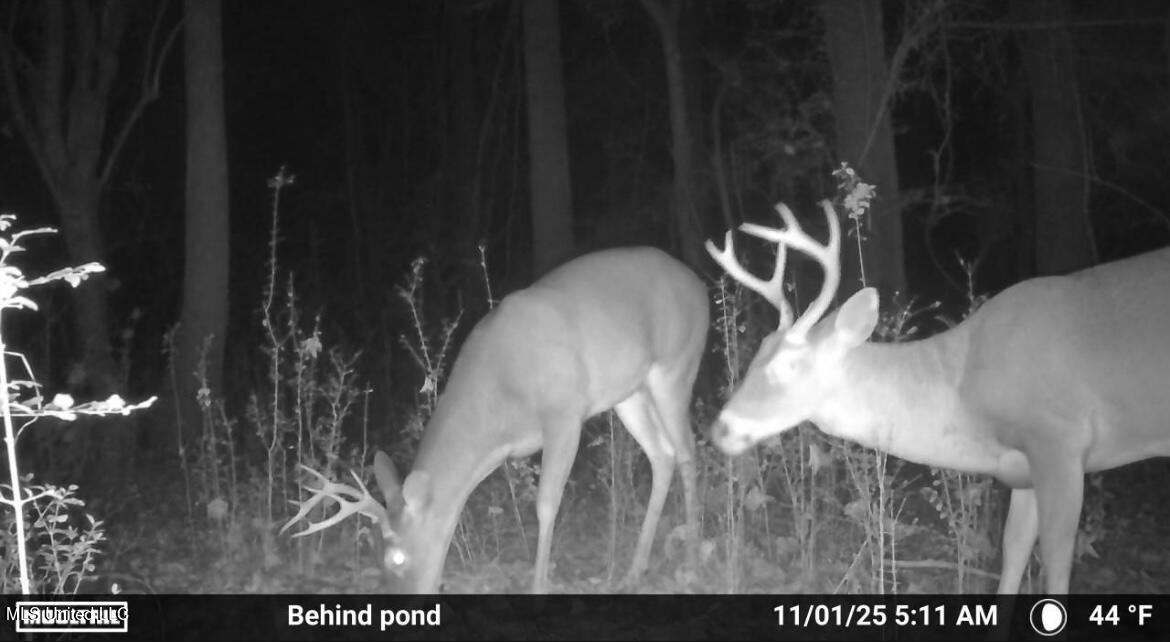 187 West Petros Road Pearl, MS 39208 - Photo 52 of 91 IMG_1571