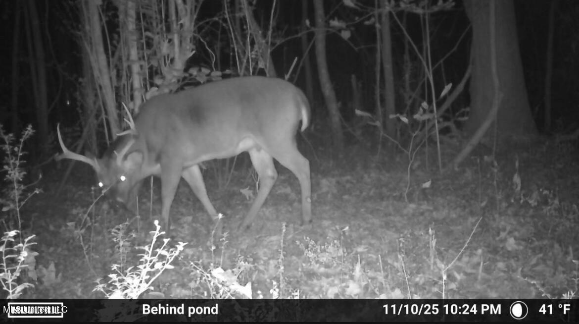 187 West Petros Road Pearl, MS 39208 - Photo 57 of 91 IMG_1558