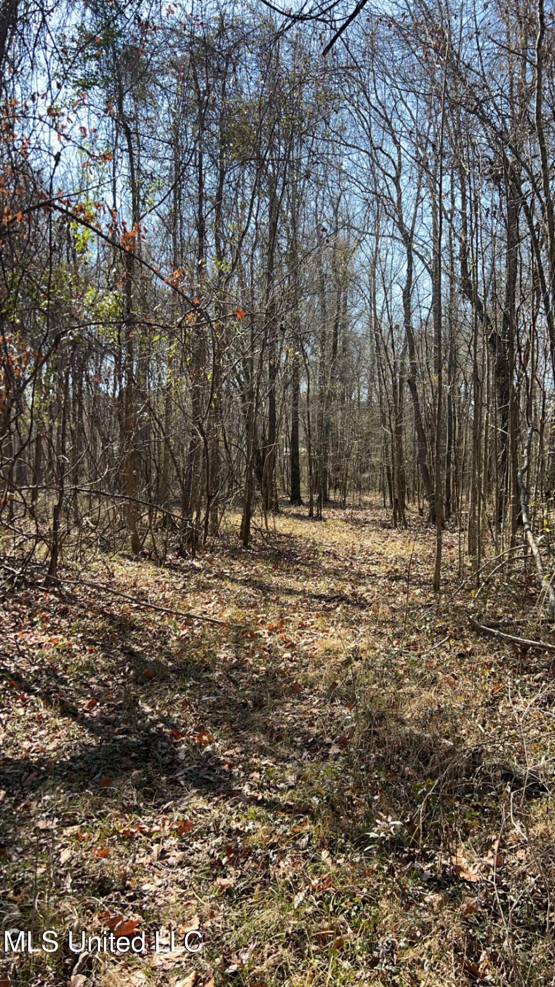 187 West Petros Road Pearl, MS 39208 - Photo 59 of 91 IMG_1640