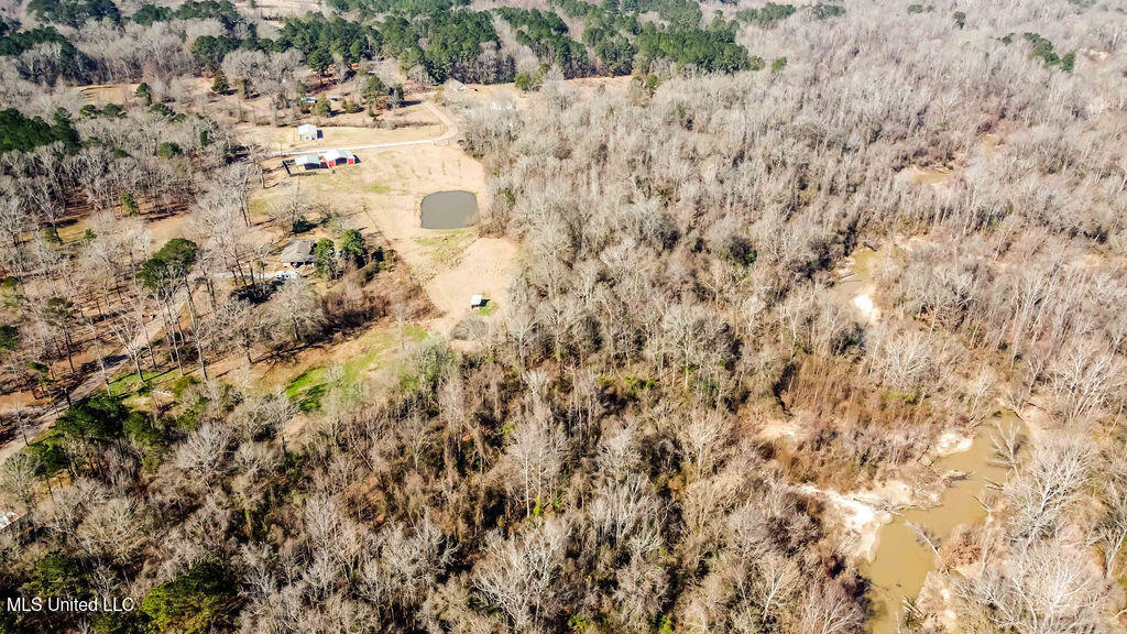 187 West Petros Road Pearl, MS 39208 - Photo 6 of 91 .