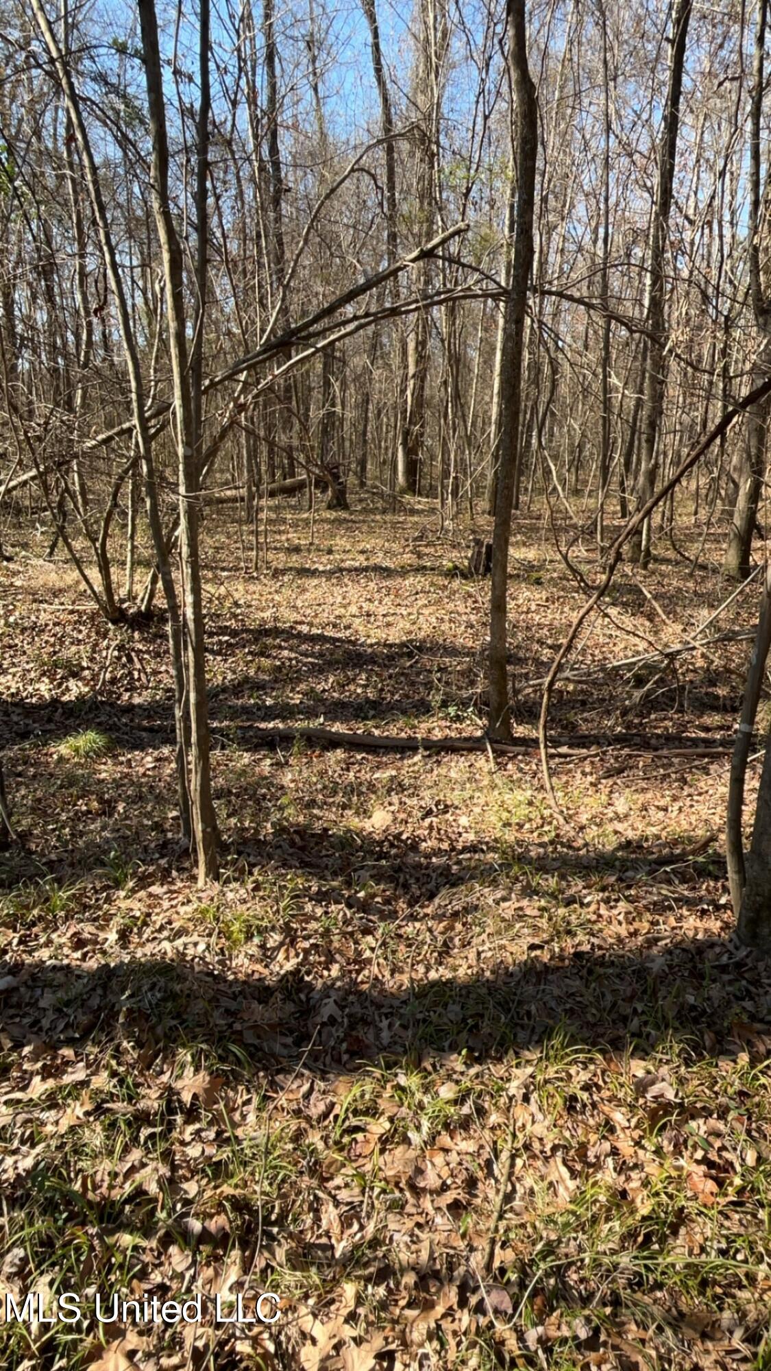 187 West Petros Road Pearl, MS 39208 - Photo 61 of 91 IMG_1642