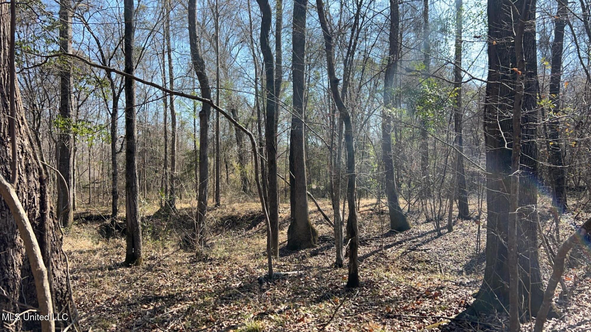 187 West Petros Road Pearl, MS 39208 - Photo 63 of 91 IMG_1646