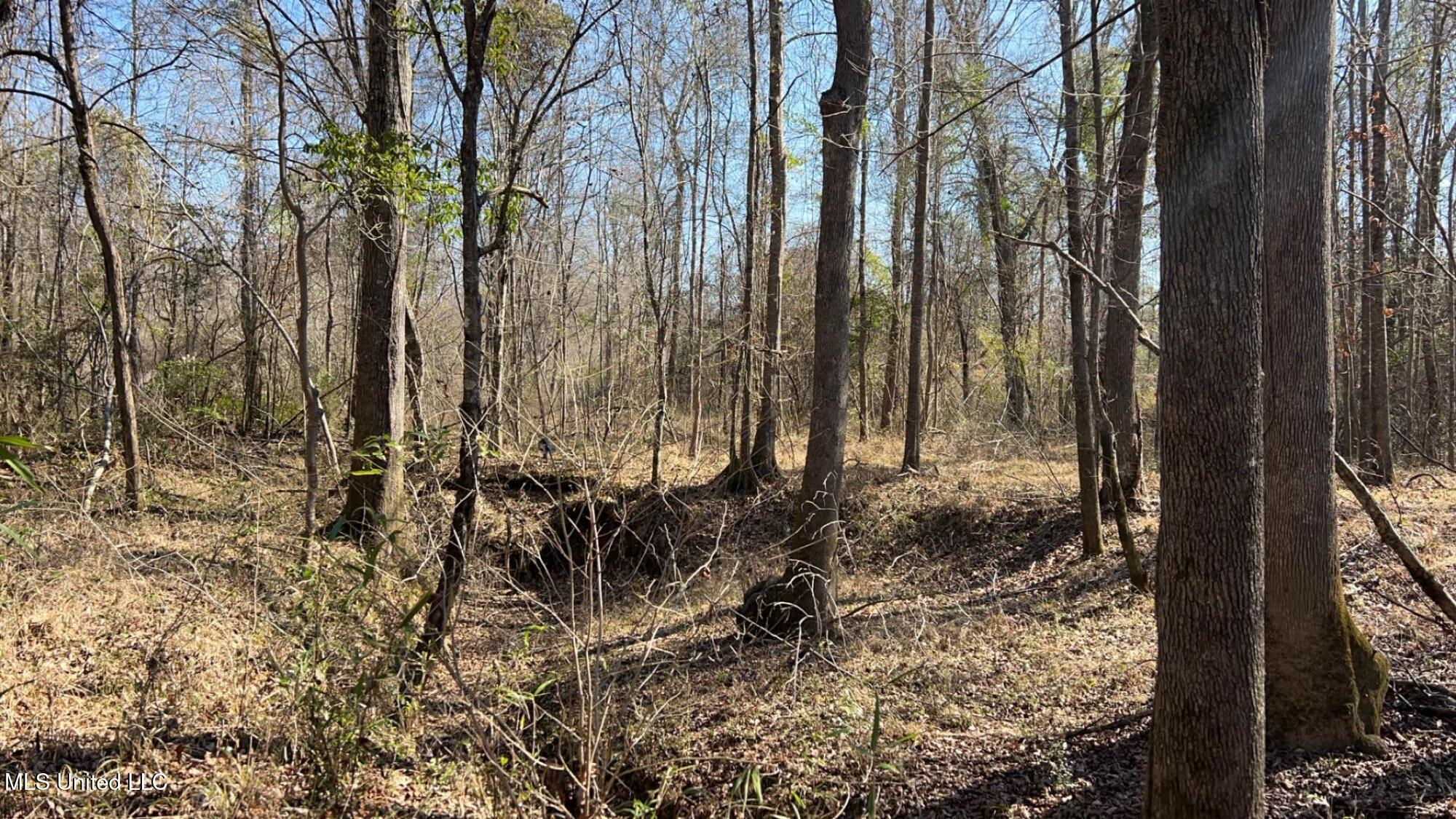 187 West Petros Road Pearl, MS 39208 - Photo 64 of 91 IMG_1647