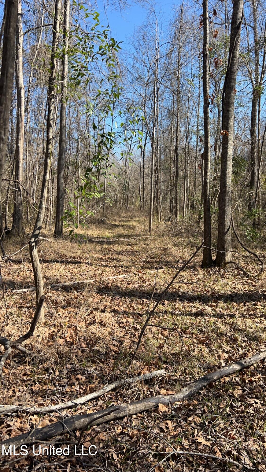 187 West Petros Road Pearl, MS 39208 - Photo 65 of 91 IMG_1648