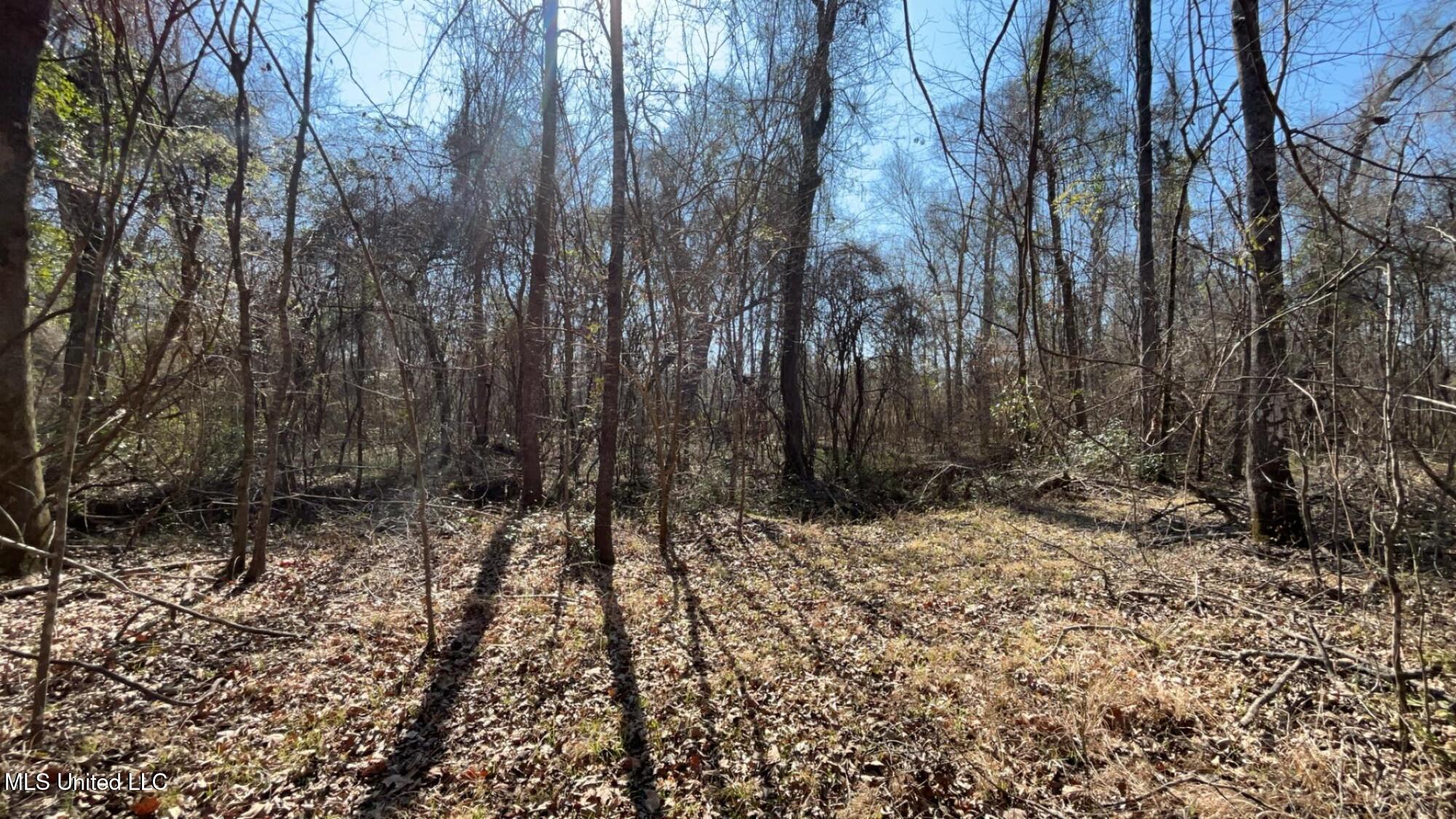 187 West Petros Road Pearl, MS 39208 - Photo 66 of 91 IMG_1649