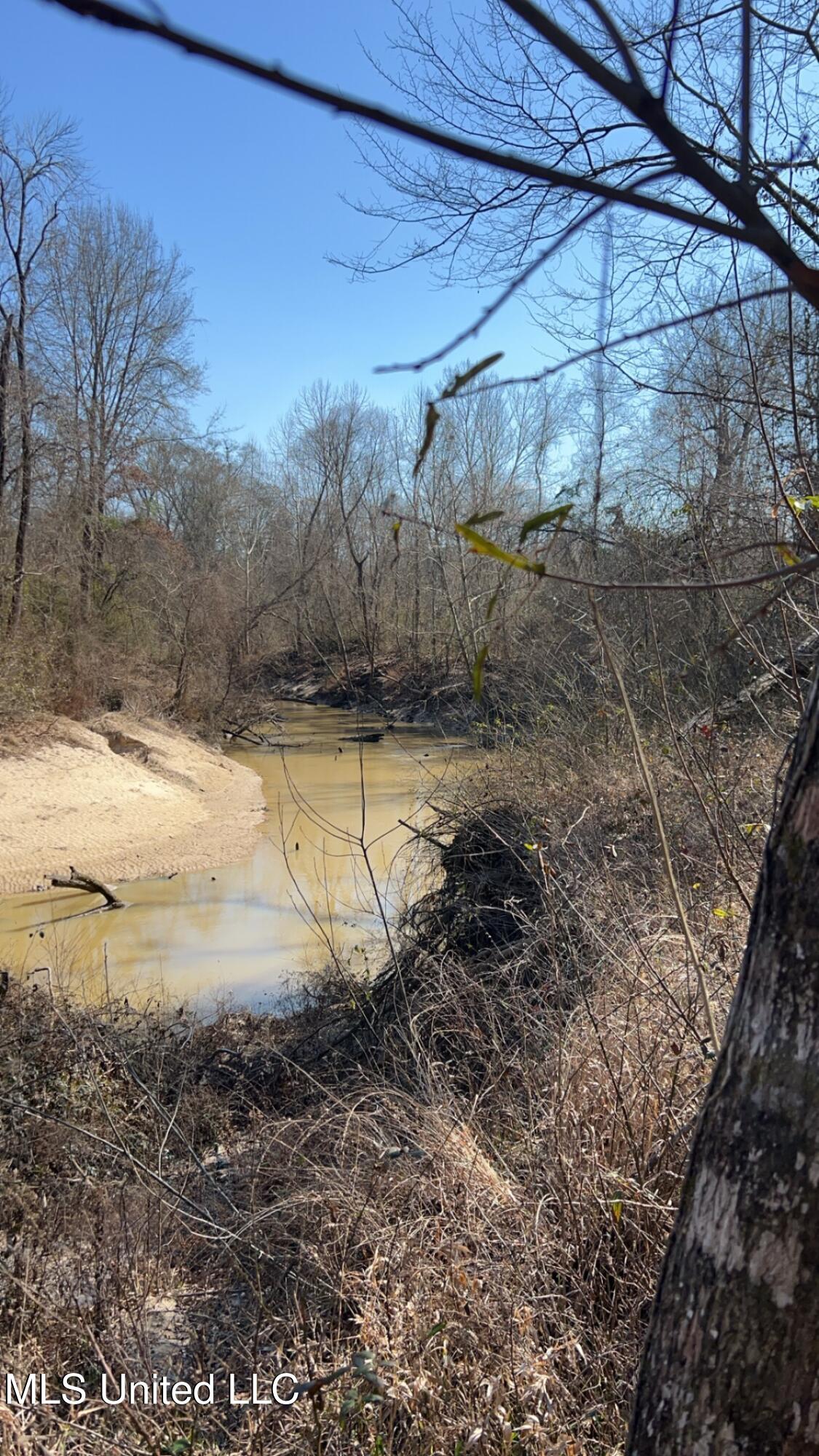 187 West Petros Road Pearl, MS 39208 - Photo 67 of 91 IMG_1650