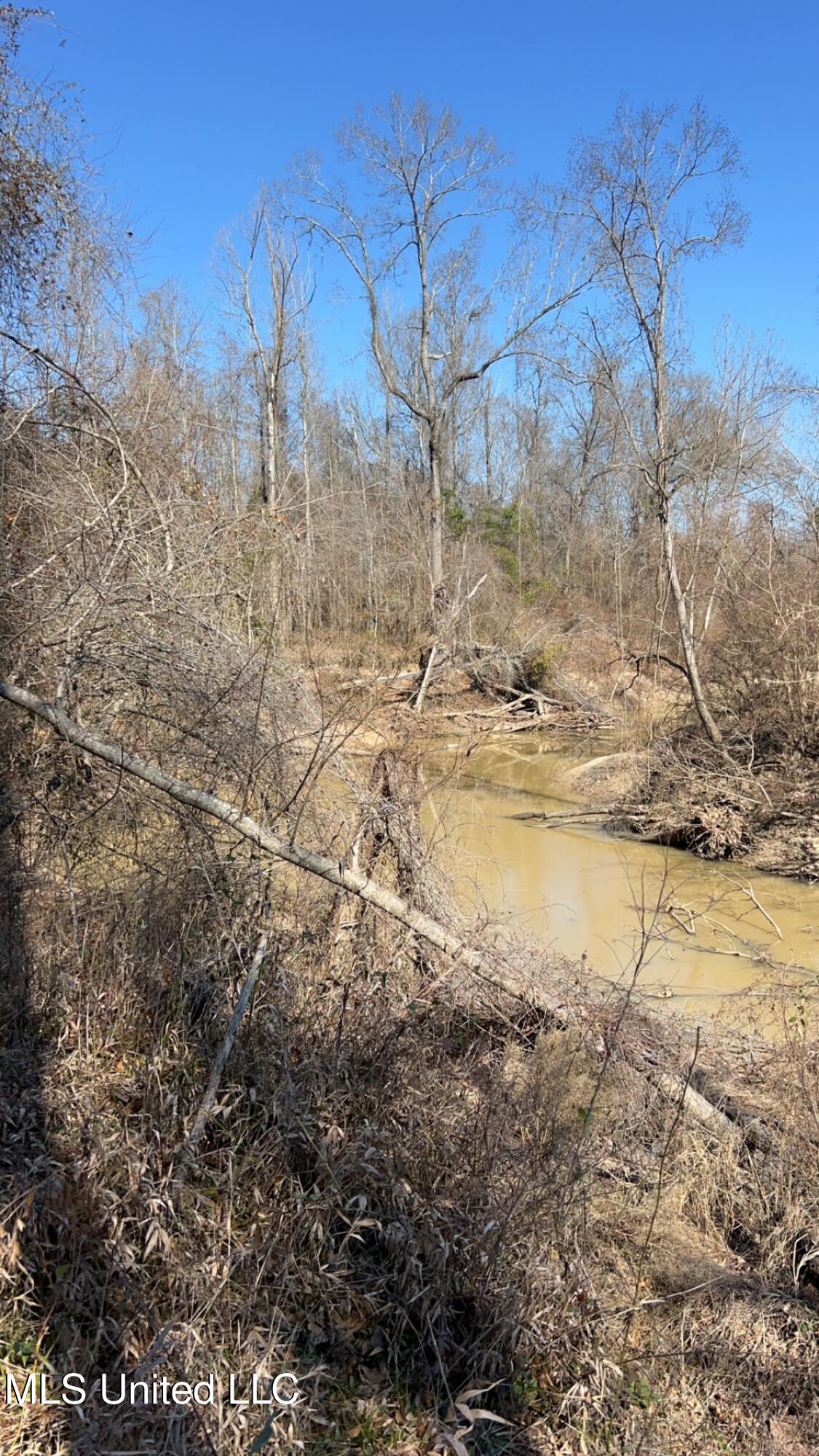 187 West Petros Road Pearl, MS 39208 - Photo 68 of 91 IMG_1651